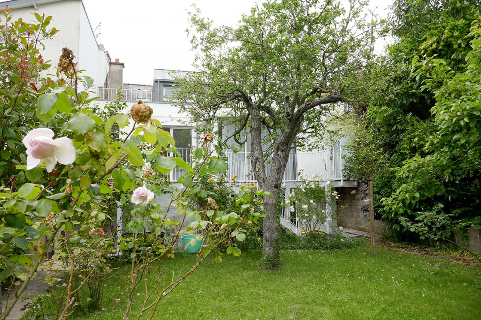 Image_, Maison, Rennes, ref :17403