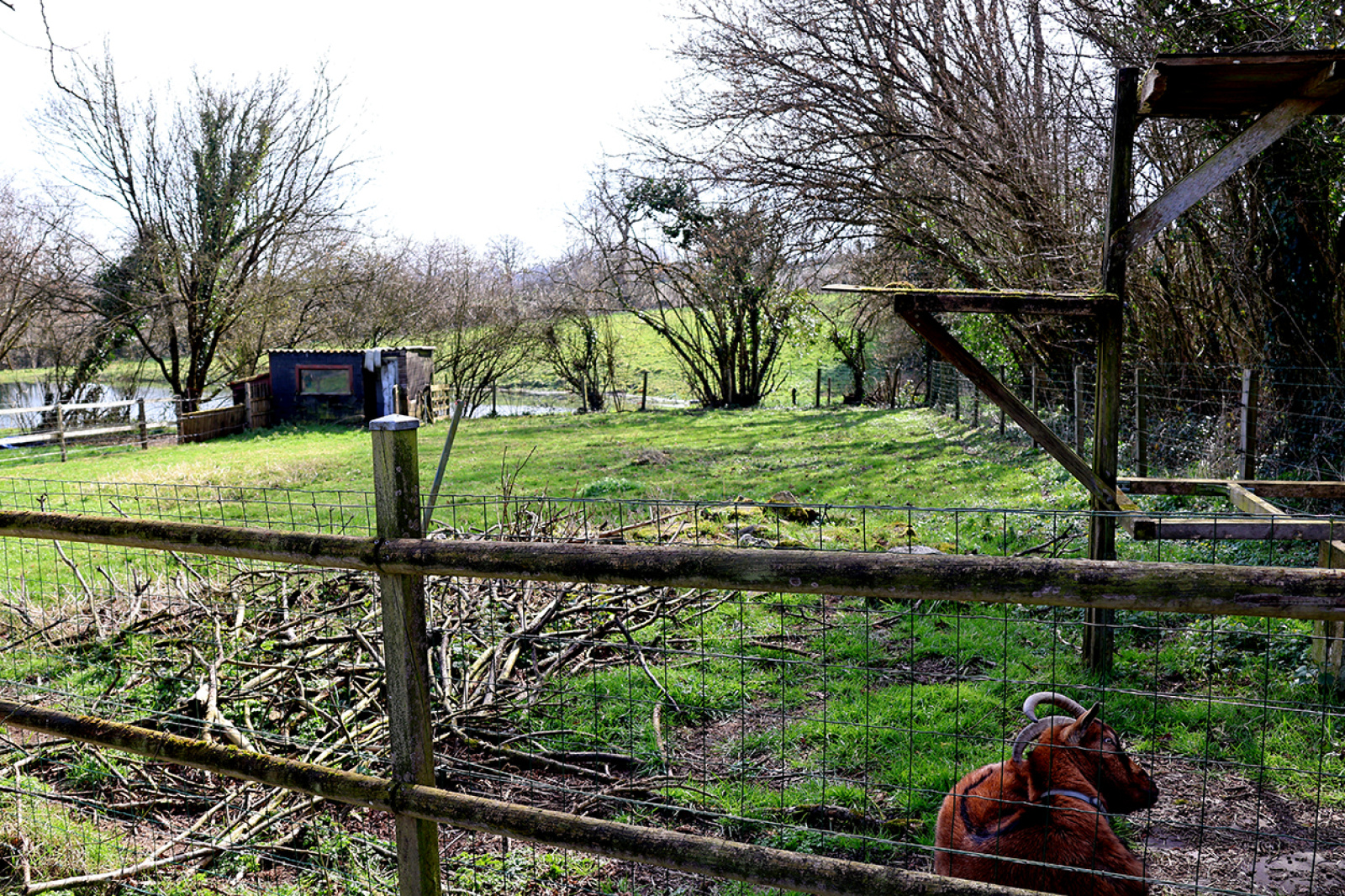 Image_, Maison, Saint-Pierre-du-Chemin, ref :17443
