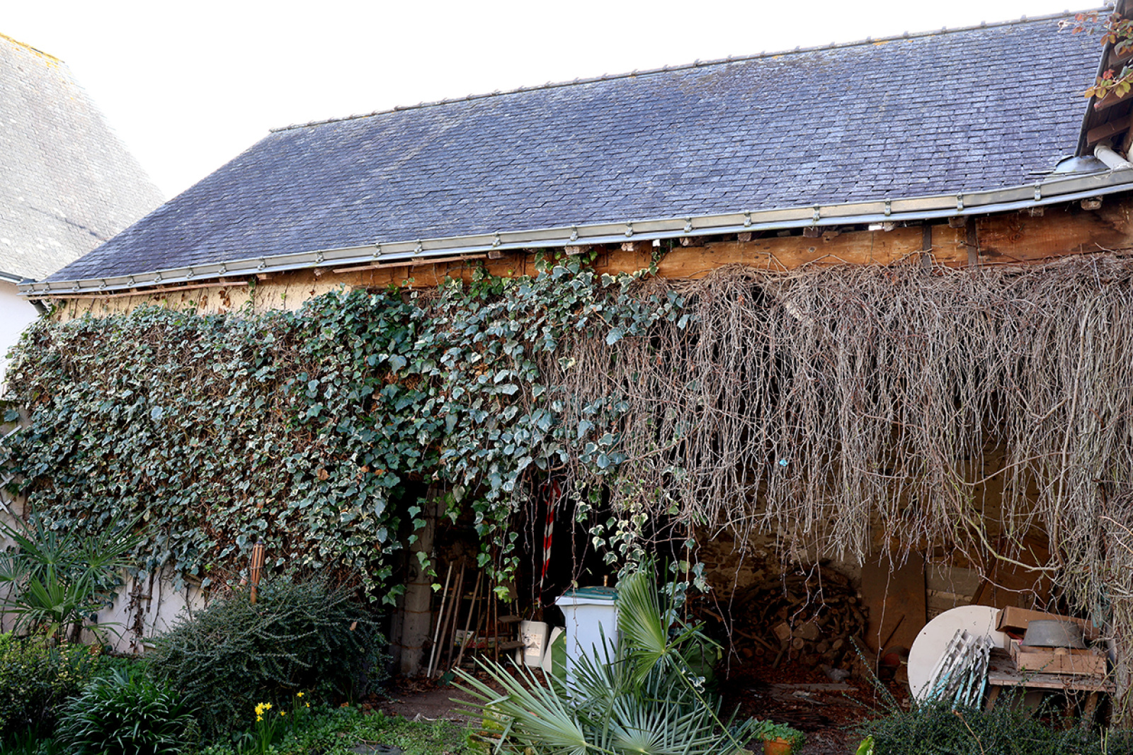Image_, Maison, Le Plessis-Grammoire, ref :17440