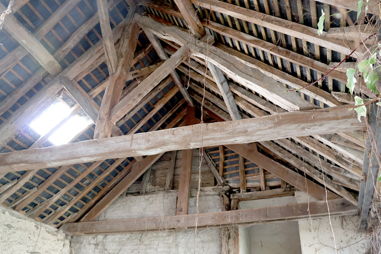 Image_, Maison, Le Plessis-Grammoire, ref :17440