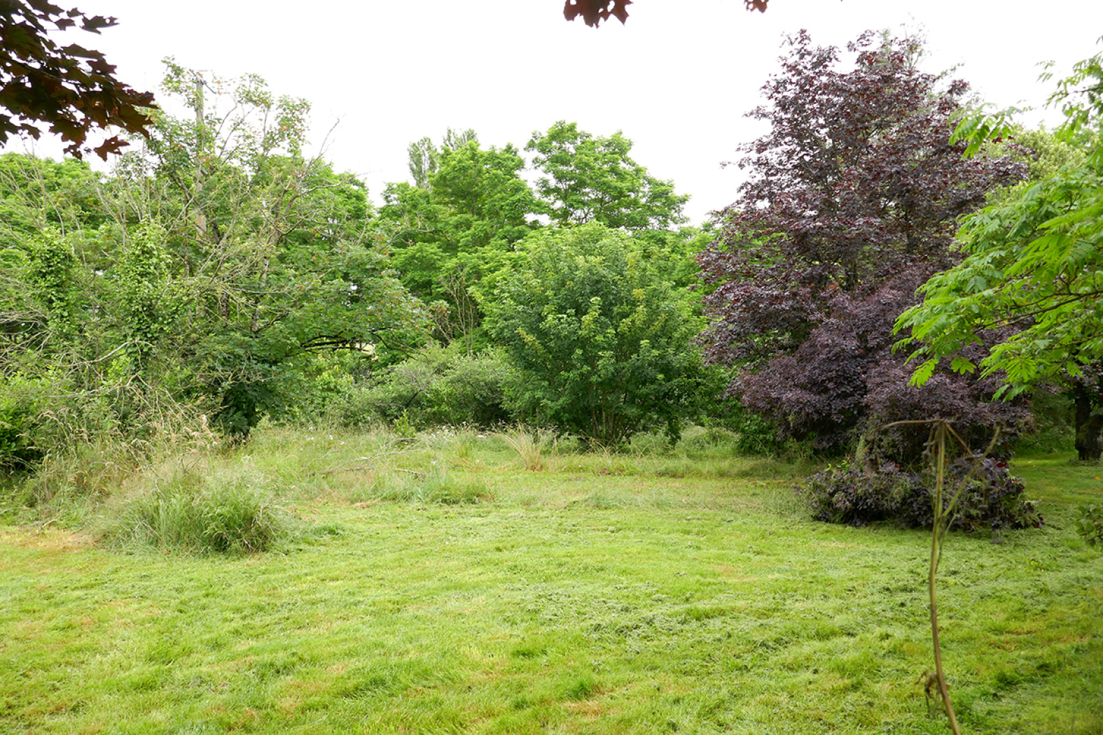 Image_, Maison, Angers, ref :17444A