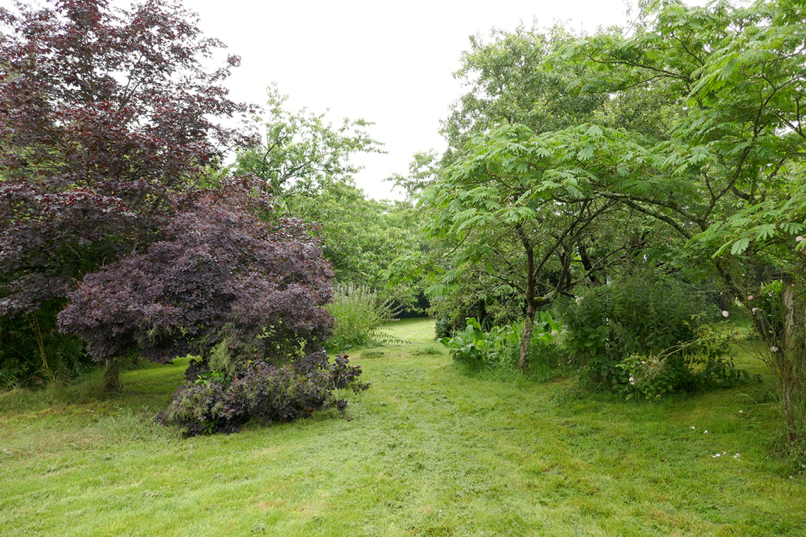 Image_, Maison, Angers, ref :17444A